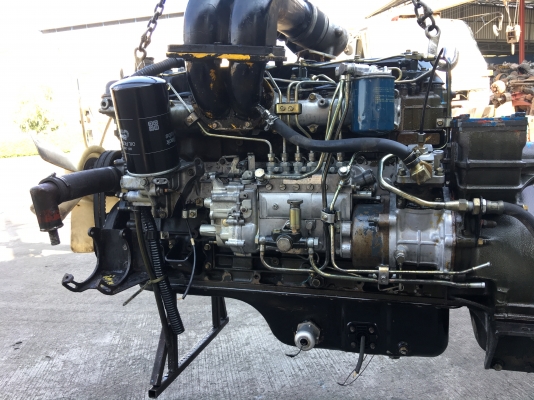 6d17. 210.  แรง. ลูกข้อก้าน. Std.   ( ใบคุม )