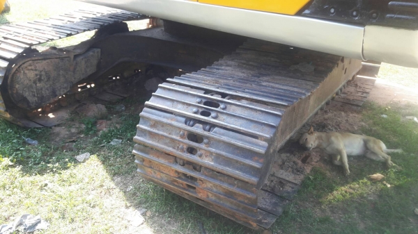 ขายรถแบคโฮพร้อมเทลเลอร์ ขายรถแบคโฮพร้อมเทลเลอร์