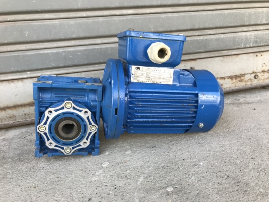 ขายมอเตอร์เกียร์แบบเพลาสวม Muller gear 1/4HP. 380V อัตราทด 1:60 สภาพสวยมาก หมุนนิ่ม พร้อมใช้งาน ราคา 1,800 บาท