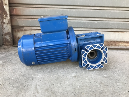 ขายมอเตอร์เกียร์แบบเพลาสวม Muller gear 1/4HP. 380V อัตราทด 1:60 สภาพสวยมาก หมุนนิ่ม พร้อมใช้งาน ราคา 1,800 บาท