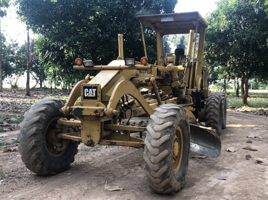 ขายรถเกรด