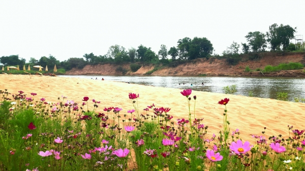 ขายหาดทราย