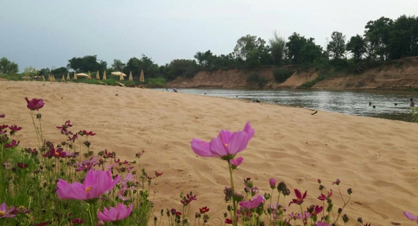 ขายหาดทราย