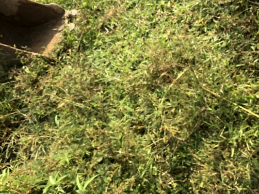 ขาย 139,000 AIPMAN AX22 เครื่องปั๊มดี เอวแน่น โซ่บาง รอนเลอร์ดี รถทำงานอยู่ รถอยู่ ระยอง 090-772-3710 090-772-3708