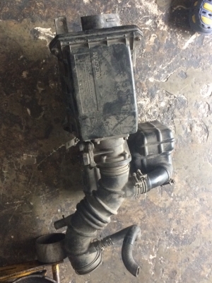 แอลโฟล์ยู12 นิสสันบลูเบิร์ด