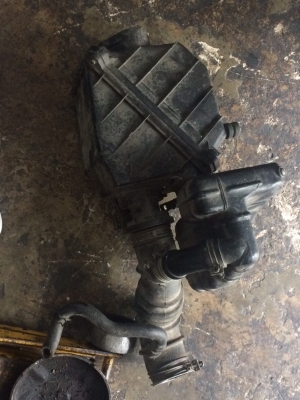 แอลโฟล์ยู12 นิสสันบลูเบิร์ด