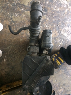 แอลโฟล์ยู12 นิสสันบลูเบิร์ด