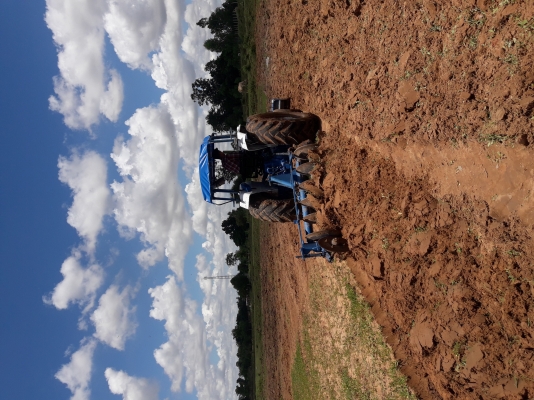 ขายรถไถฟอร์ด 6600 t5 เล่มทะเบียน ใบดัน ผาน6