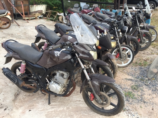 ขายเหมารถมอเตอร์ไซค์ผู้ชาย 8 คันถูก ๆ