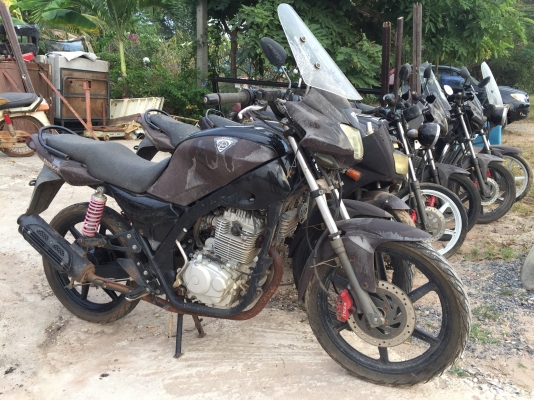 ขายเหมารถมอเตอร์ไซค์ผู้ชาย 8 คันถูก ๆ