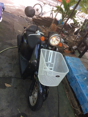 Honda Today 50cc 4จังหวะ มือสอง นำเข้าจากญุ่ปุ่น พร้อมใช้งาน