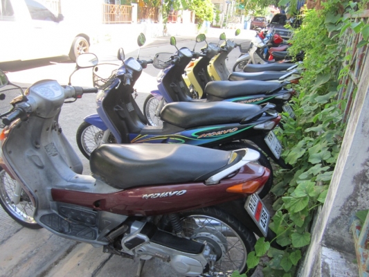 ยังไงก็ขาย เหมาNouvo ตัวเก่า 5คันราคาเบาๆ โอนให้คับผม