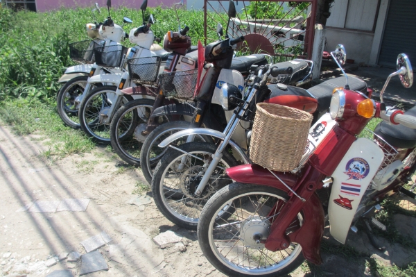 ขายรถคลาสสิคหลายคันเข้ามาดูก่อนได้ครับ