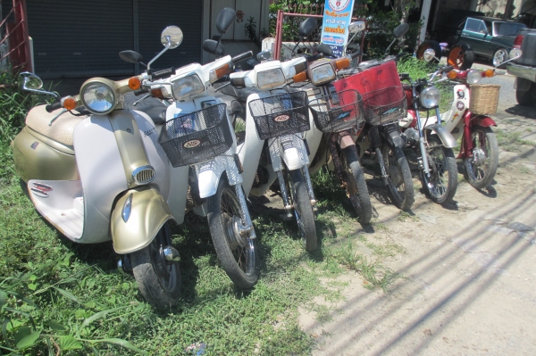 ขายรถคลาสสิคหลายคันเข้ามาดูก่อนได้ครับ