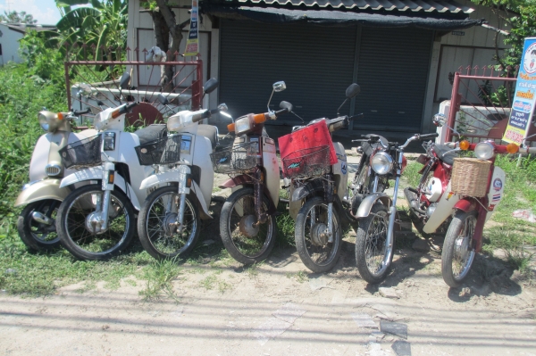 ขายรถคลาสสิคหลายคันเข้ามาดูก่อนได้ครับ