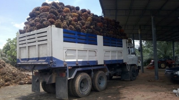 รถฮีโน่ 10 ล้อดั๊ม F18  187 แรงม้า  สนใจติดต่อ 081 - 6079515