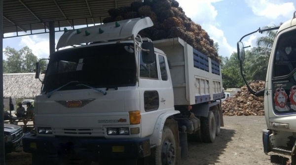 รถฮีโน่ 10 ล้อดั๊ม F18  187 แรงม้า  สนใจติดต่อ 081 - 6079515