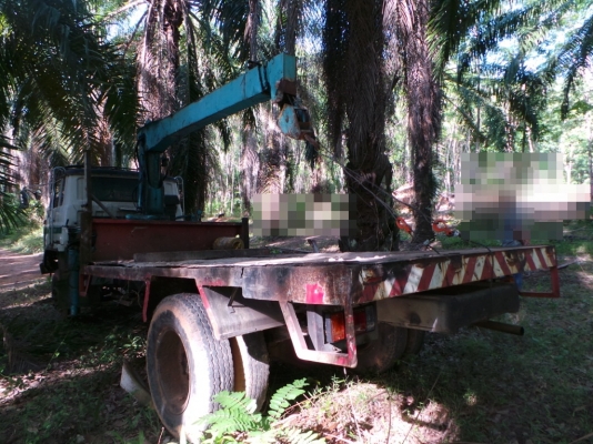 ISUZU 145 แรงม้า หัวเดิม เครื่องเปลี่ยนค่ะ เล่มพร้อม มีเครนค่ะ