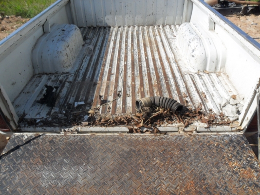 พวงมาลัยม้ากระโดด