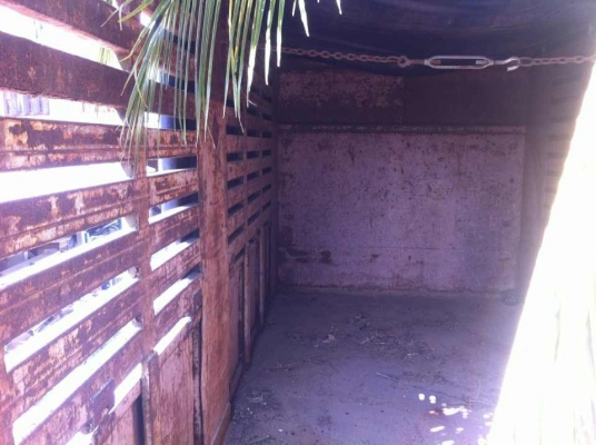 ร็อกกี้ 175 สุดยอดความประหยัด สภาพสวยพร้อมใช้งาน ขายเพราะ เบื่อคนขับ