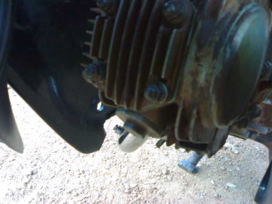 ดรีม100ปี43