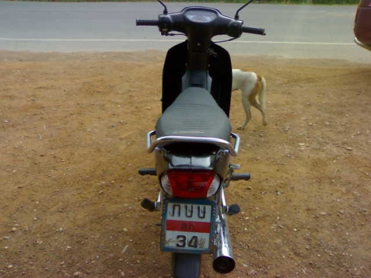 ดรีม100ปี43