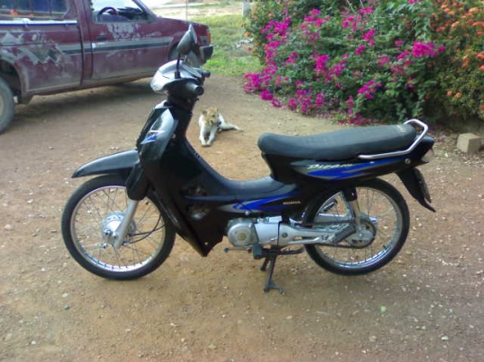 ดรีม100ปี43