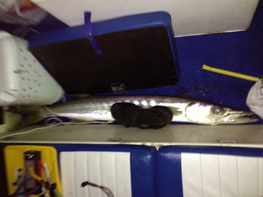 ขายเรือ ไฟเบอร์ 18 ฟุตเครื่อง 150 พร้อมอุปกรณ์ ครบ