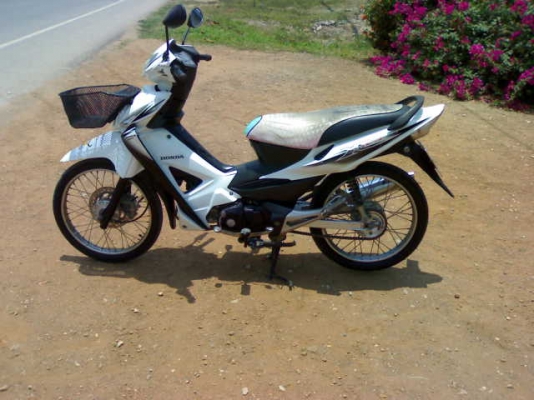 เวฟ125เอ็กซ์