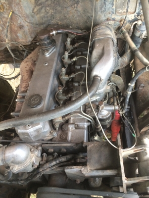 ขายรถดั้มหัวยาว ISUZU รุ่นTD50A (คัสซีใหญ่)