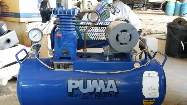 พูม่าเด็กน้อย 1/4แรง สวยสด ใหม่เอี่ยม