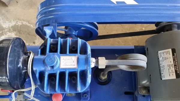 พูม่าเด็กน้อย 1/4แรง สวยสด ใหม่เอี่ยม