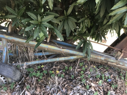 ขายด่วน เครื่องสูบน้ำ 8นิ้ว ยาว10เมตร เครื่อง อีสุ2000พร้อมเกียร์ ใช้งานได้เลย มีบุบ ตอนยกขึ้น ขาย 35000 บาท