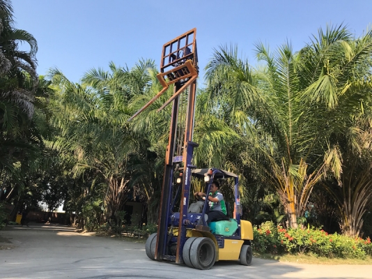 ขายFORKLIFT KOMATSU FD25-12(2.5ตัน)งากระดก(งายาว) เสา4.0เมตร สวยเดิมจากญี่ปุ่น ยังไม่เคยใช้ในไทย 285,000เท่านั้น!!