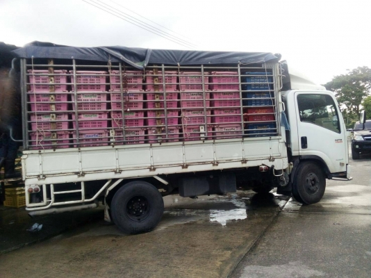 รถอีซูซุ 6 ล้อ ( ไม่ดั้ม ) NPR 150 แรงม้า. ปี 57. , ( รถวิ่ง 4xx,xxx กม. ) สนใจติดต่อ 081 - 6079515 รถอีซูซุ 6 ล้อ ( ไม่ดั้ม ) NPR 150 แรงม้า. ปี 57. , ( รถวิ่ง 4xx,xxx กม. ) สนใจติดต่อ 081 - 6079515