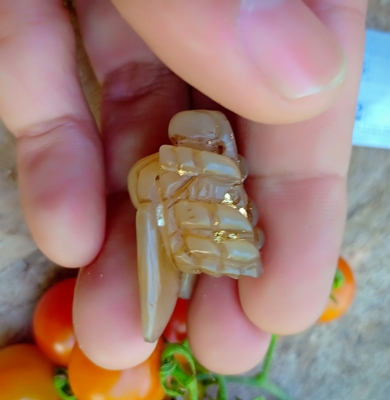 งานแกะสลักด้วยฝีมือช่างพื้นบ้าน แกะเป็นแมลงภู่คำ แกะสลักจากเขาควายเผือก แกะสลักตัวใหญ่ๆมีเสียง