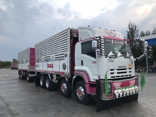 ขายด่วนแกด่า320แม็คโหลด ปี49 ดั้มอู่สหะกิจ เดิมบาง สวยพร้อมใช้งาน ใส่ของได้30ตัน ขายด่วนแกด่า320แม็คโหลด ปี49 ดั้มอู่สหะกิจ เดิมบาง สวยพร้อมใช้งาน ใส่ของได้30ตัน