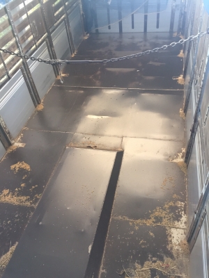 ขายด่วนแกด่า320แม็คโหลด ปี49 ดั้มอู่สหะกิจ เดิมบาง สวยพร้อมใช้งาน ใส่ของได้30ตัน ขายด่วนแกด่า320แม็คโหลด ปี49 ดั้มอู่สหะกิจ เดิมบาง สวยพร้อมใช้งาน ใส่ของได้30ตัน