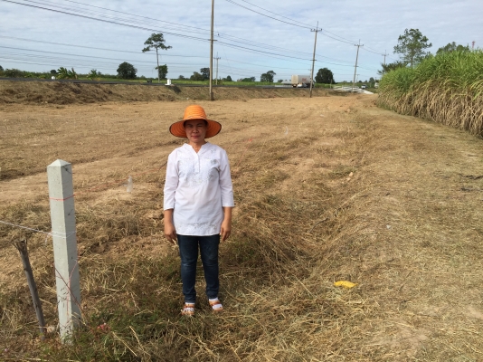 ขาย ที่ดิน ติดถนน4เลน เส้นสตึก-บุรีรัมย์ จากสตึกหลักกิโลเมตรที่ 23 (1 งาน )ราคาเริ่มต้นที่ 650,000 บ