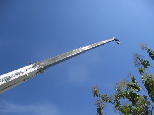 ราคาถูกๆ 2,xxx,xxxx 25ตัน TADANO TR250M-5 ขาไหว้ ปี1994 092-929-9942 ธีรเทพ