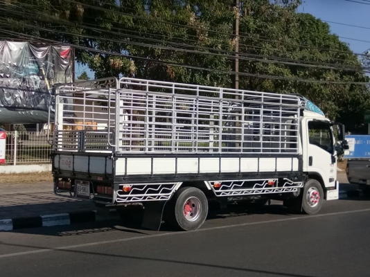 ขาย 6 ล้อ Isuzu Npr150 ปี53 ขาย 6 ล้อ Isuzu Npr150 ปี53