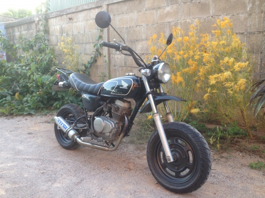 ขายรถ Honda APE 50 รถเชียงกง น่าสะสม เครื่องดี ใช้ประหยัด ขายรถ Honda APE 50 รถเชียงกง น่าสะสม เครื่องดี ใช้ประหยัด