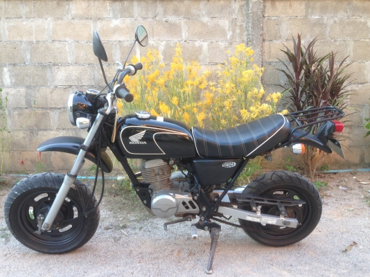 ขายรถ Honda APE 50 รถเชียงกง น่าสะสม เครื่องดี ใช้ประหยัด ขายรถ Honda APE 50 รถเชียงกง น่าสะสม เครื่องดี ใช้ประหยัด