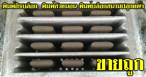 ขายเครื่องอัดอิฐบล็อค พิมพ์ แบบรั่วคาวบอย แบบขอบคันกั้นถนน