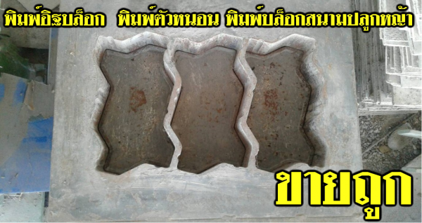 ขายเครื่องอัดอิฐบล็อค พิมพ์ แบบรั่วคาวบอย แบบขอบคันกั้นถนน