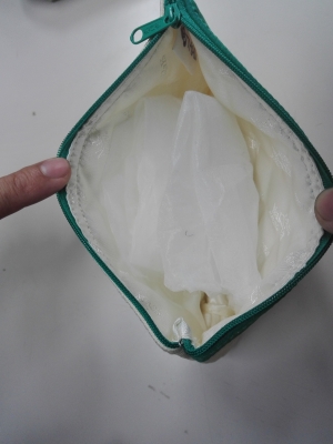 กระเป๋าสายการบิน