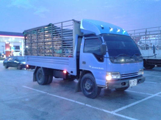 Isuzu Isuzu