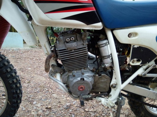 ขาย honda xlr 250