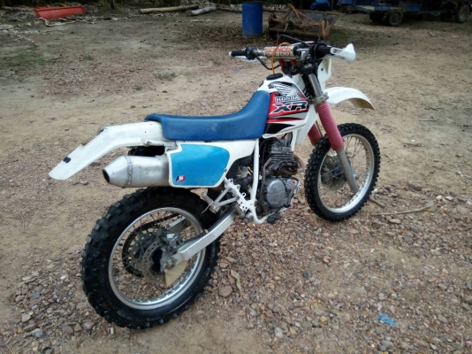 ขาย honda xlr 250