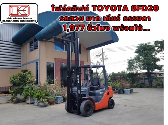 โฟล์คลิฟท์ TOYOTA 8FD20 ดีเซล รถสวยมาก เกียร์ ธรรมดา 1,977 ชั่วโมง รถนอก ชมเครื่องจักร โฟล์คลิฟท์ รอก นับ1,000รายการจากญี่ปุ่นwww.paholgroup.com